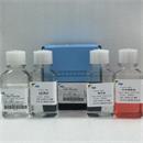 LDS1078CPK 猫脾脏单个核细胞分离液试剂盒