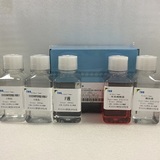 DC2012GAP 羊组织树突状细胞分离液试剂盒