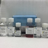 大鼠骨髓中性粒细胞分离液试剂盒