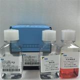 大鼠红细胞分离液试剂盒