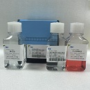 LTS1095 水貂外周血淋巴细胞分离液KIT