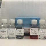 大鼠脾脏NK细胞分离液试剂盒