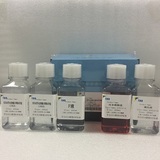 VEHY2011PA 熊猫血管内皮细胞分离液试剂盒